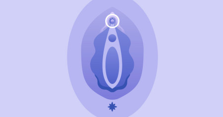 anatomie du clitoris
